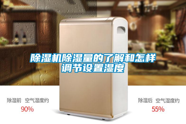 除濕機除濕量的了解和怎樣調(diào)節(jié)設置濕度