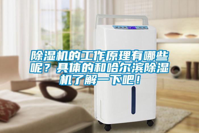除濕機的工作原理有哪些呢？具體的和哈爾濱除濕機了解一下吧！