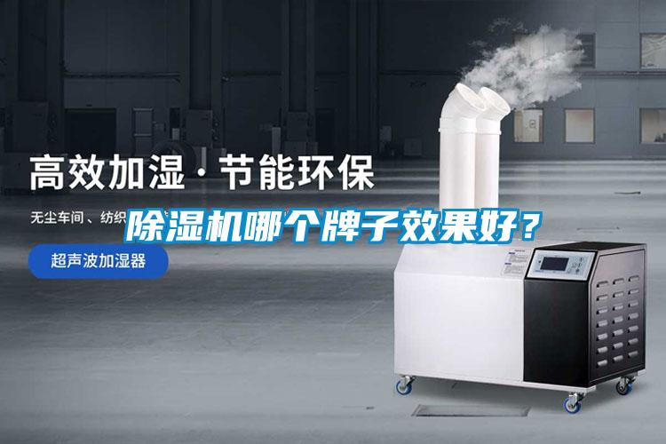 除濕機哪個牌子效果好？