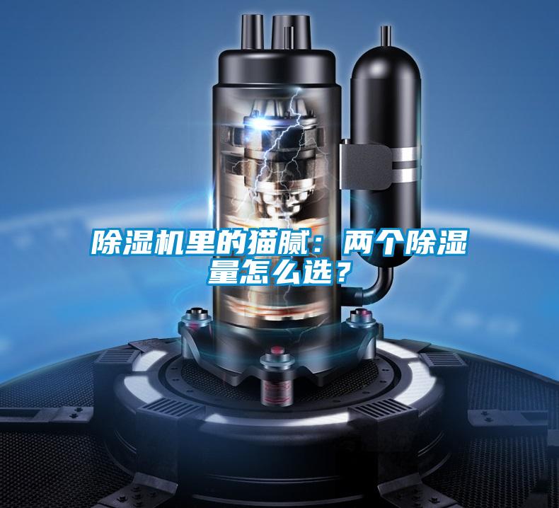 除濕機里的貓膩：兩個除濕量怎么選？