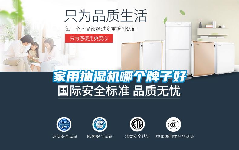家用抽濕機(jī)哪個牌子好