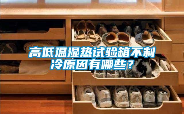高低溫濕熱試驗(yàn)箱不制冷原因有哪些？
