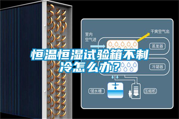 恒溫恒濕試驗箱不制冷怎么辦？