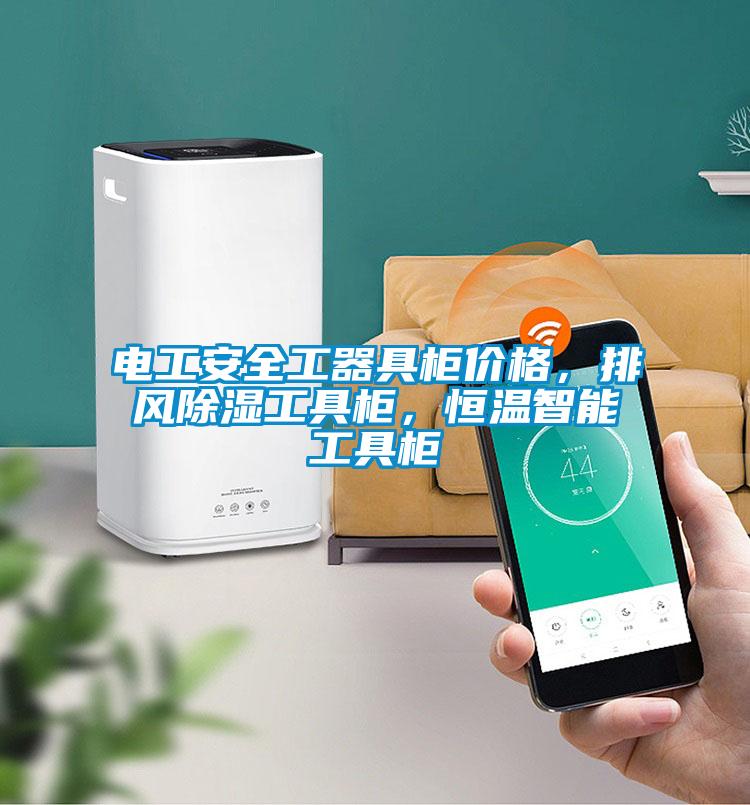 電工安全工器具柜價格，排風(fēng)除濕工具柜，恒溫智能工具柜