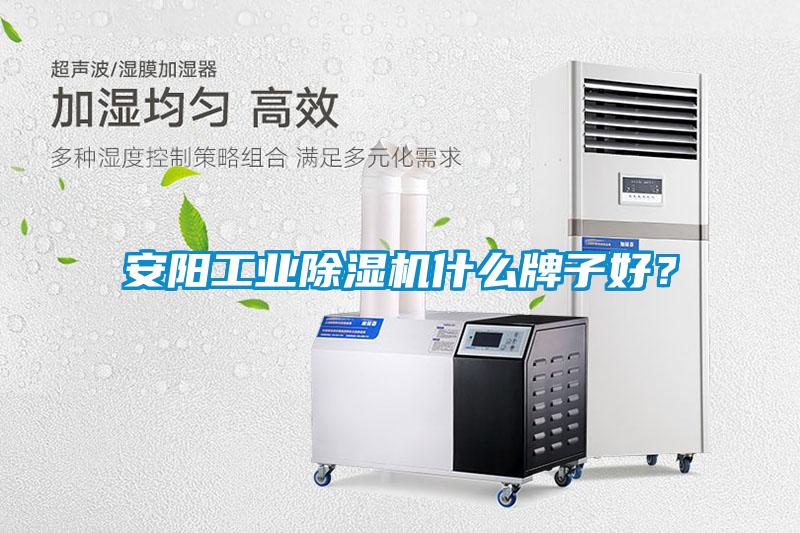 安陽(yáng)工業(yè)除濕機(jī)什么牌子好？