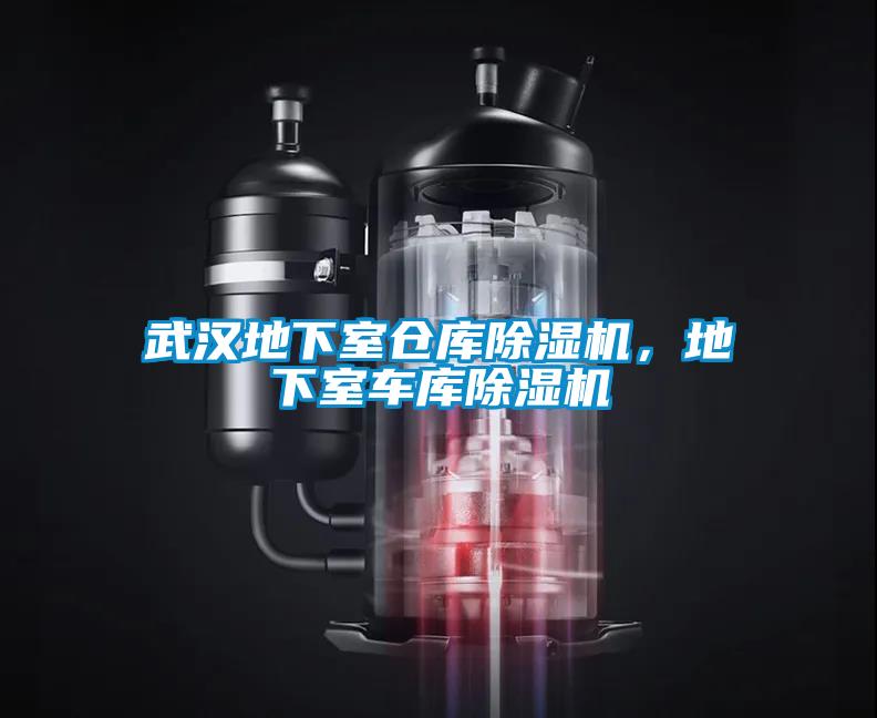 武漢地下室倉庫除濕機(jī)，地下室車庫除濕機(jī)