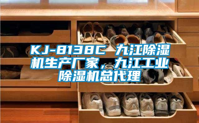 KJ-8138C 九江除濕機生產(chǎn)廠家，九江工業(yè)除濕機總代理