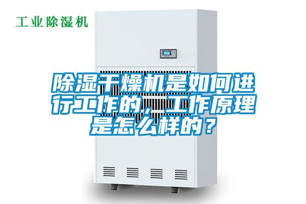 除濕干燥機是如何進行工作的，工作原理是怎么樣的？