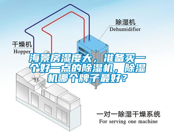 海景房濕度大，準(zhǔn)備買(mǎi)一個(gè)好一點(diǎn)的除濕機(jī)，除濕機(jī)哪個(gè)牌子最好？