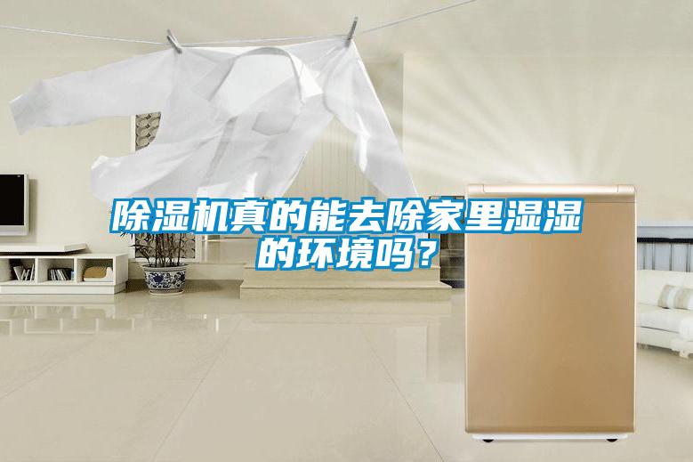 除濕機(jī)真的能去除家里濕濕的環(huán)境嗎？