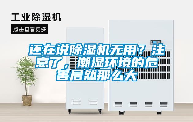 還在說除濕機無用？注意了，潮濕環(huán)境的危害居然那么大
