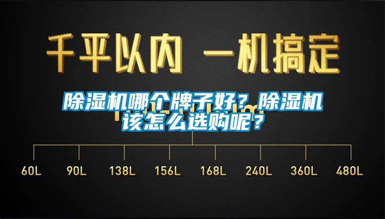 除濕機(jī)哪個牌子好？除濕機(jī)該怎么選購呢？