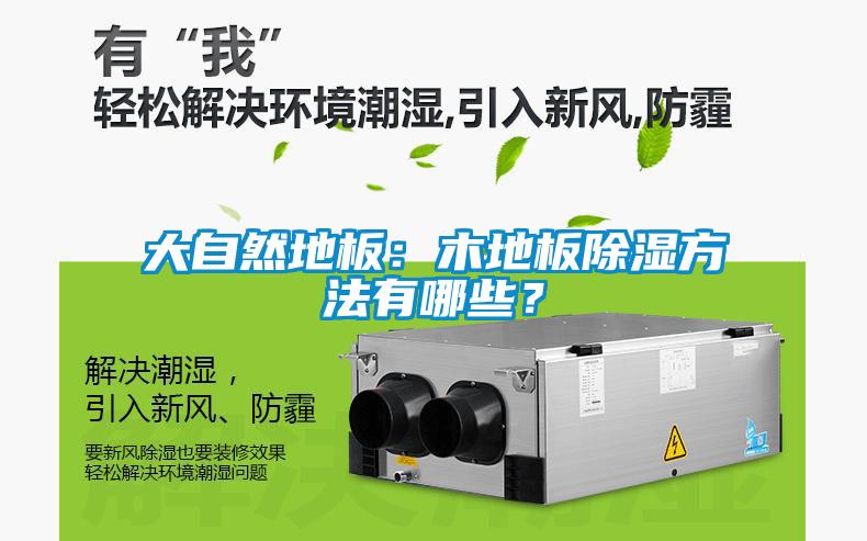 大自然地板：木地板除濕方法有哪些？
