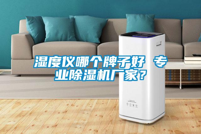 濕度儀哪個牌子好 專業(yè)除濕機(jī)廠家？