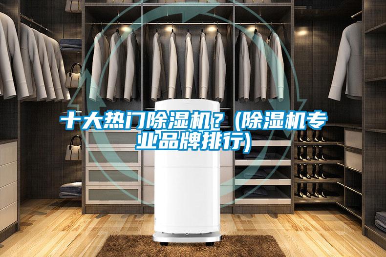 十大熱門(mén)除濕機(jī)？(除濕機(jī)專業(yè)品牌排行)