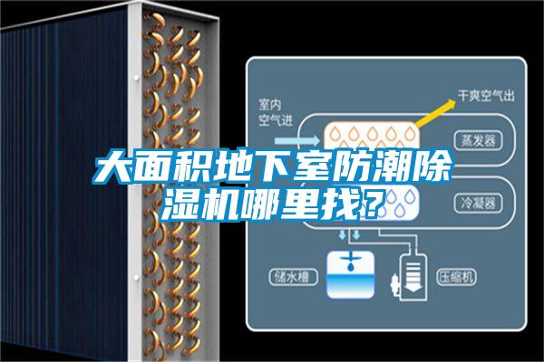 大面積地下室防潮除濕機哪里找？