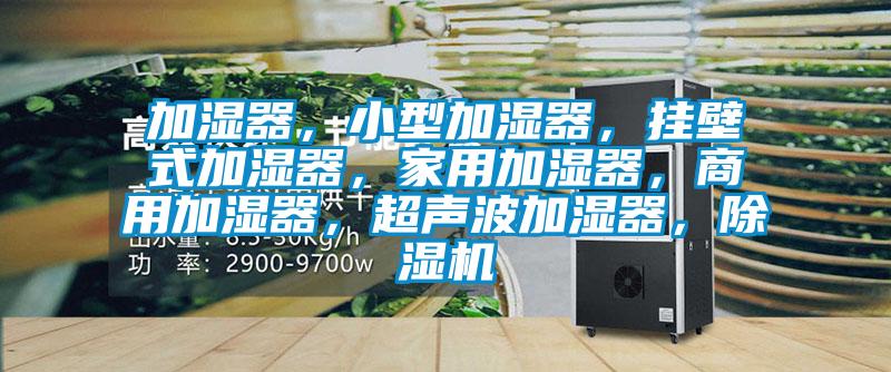 加濕器，小型加濕器，掛壁式加濕器，家用加濕器，商用加濕器，超聲波加濕器，除濕機