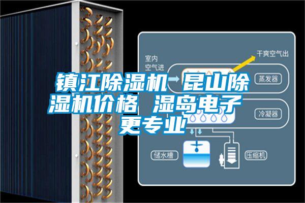 鎮(zhèn)江除濕機(jī) 昆山除濕機(jī)價(jià)格 濕島電子 更專(zhuān)業(yè)
