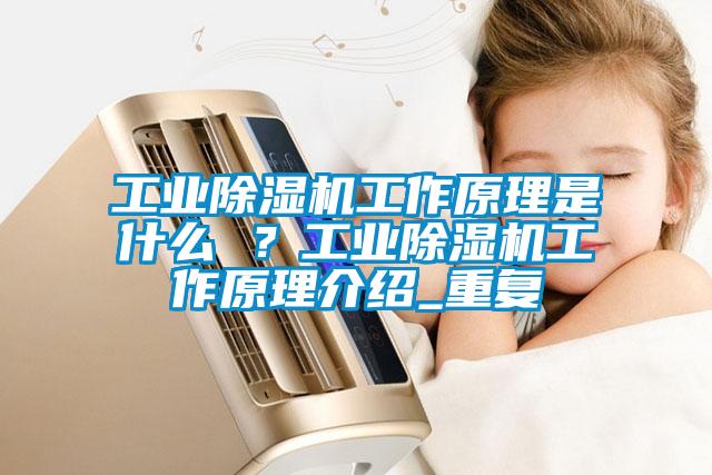 工業(yè)除濕機工作原理是什么 ？工業(yè)除濕機工作原理介紹_重復
