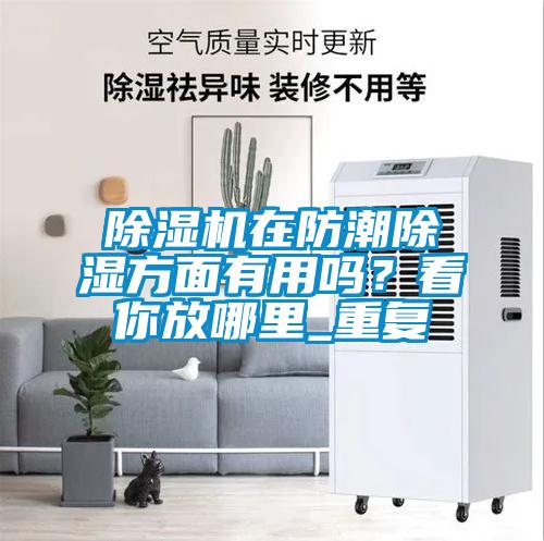 除濕機(jī)在防潮除濕方面有用嗎？看你放哪里_重復(fù)