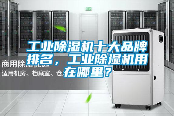 工業(yè)除濕機(jī)十大品牌排名，工業(yè)除濕機(jī)用在哪里？