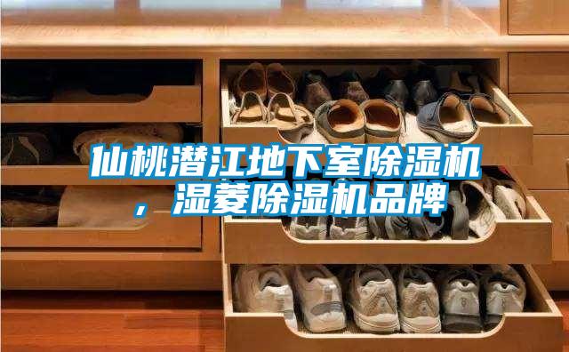 仙桃潛江地下室除濕機，濕菱除濕機品牌
