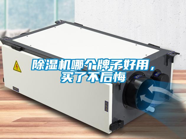 除濕機(jī)哪個(gè)牌子好用，買(mǎi)了不后悔