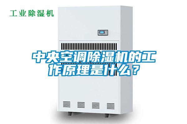 中央空調(diào)除濕機的工作原理是什么？