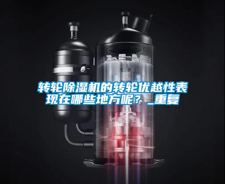 轉輪除濕機的轉輪優(yōu)越性表現(xiàn)在哪些地方呢？_重復