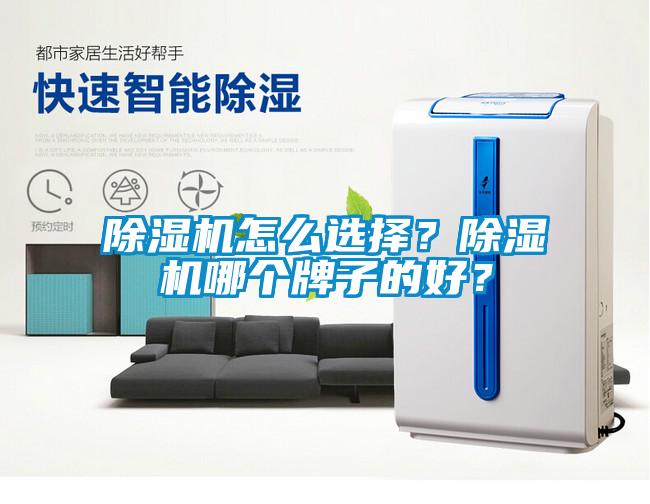 除濕機(jī)怎么選擇？除濕機(jī)哪個(gè)牌子的好？