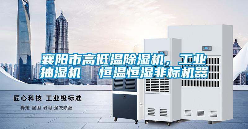 襄陽市高低溫除濕機，工業(yè)抽濕機  恒溫恒濕非標(biāo)機器