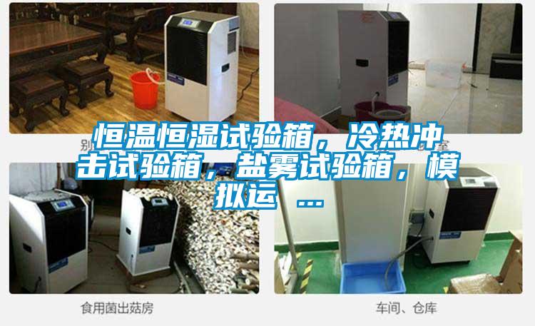 恒溫恒濕試驗(yàn)箱，冷熱沖擊試驗(yàn)箱，鹽霧試驗(yàn)箱，模擬運(yùn) ...
