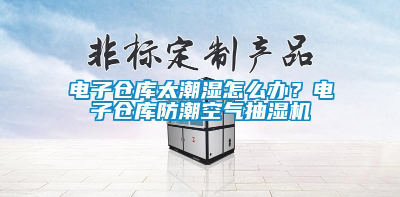 電子倉庫太潮濕怎么辦？電子倉庫防潮空氣抽濕機