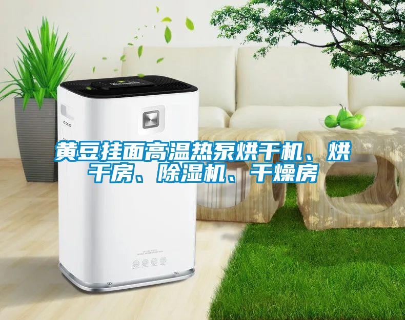 黃豆掛面高溫?zé)岜煤娓蓹C(jī)、烘干房、除濕機(jī)、干燥房
