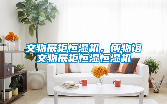 文物展柜恒濕機，博物館文物展柜恒濕恒濕機