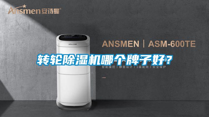 轉輪除濕機哪個牌子好？