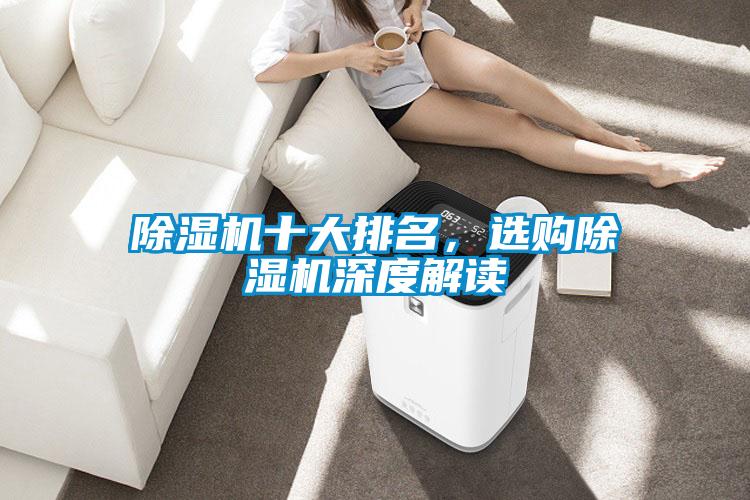 除濕機(jī)十大排名，選購(gòu)除濕機(jī)深度解讀