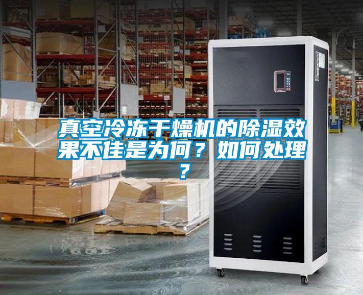 真空冷凍干燥機(jī)的除濕效果不佳是為何？如何處理？