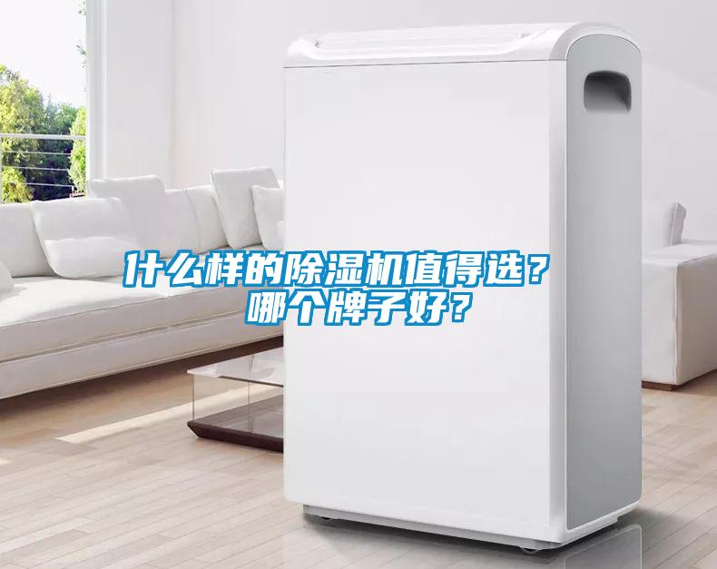 什么樣的除濕機(jī)值得選？ 哪個(gè)牌子好？
