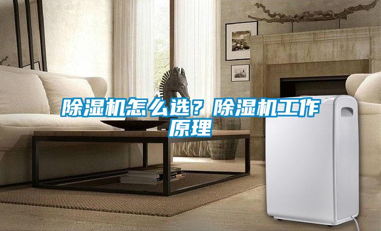 除濕機(jī)怎么選？除濕機(jī)工作原理