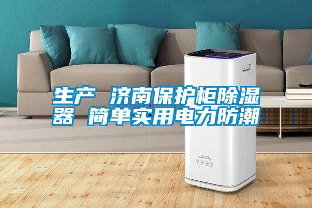 生產(chǎn) 濟南保護(hù)柜除濕器 簡單實用電力防潮
