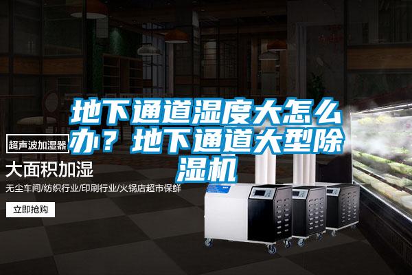地下通道濕度大怎么辦？地下通道大型除濕機(jī)