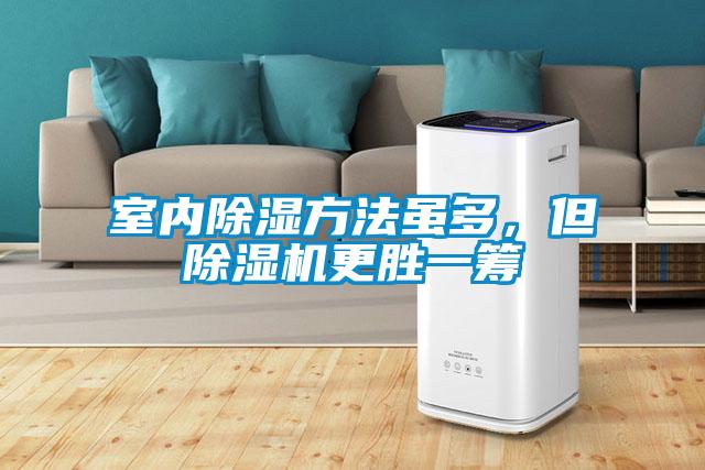 室內(nèi)除濕方法雖多，但除濕機(jī)更勝一籌