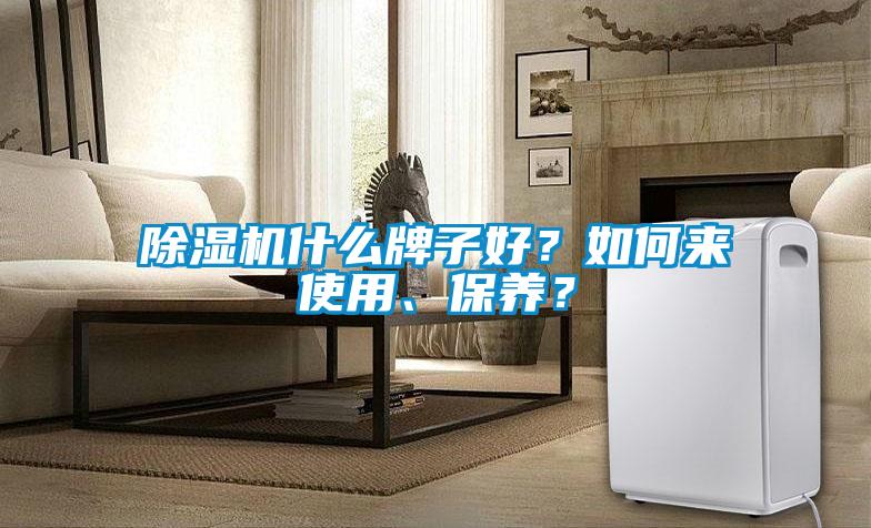 除濕機(jī)什么牌子好？如何來(lái)使用、保養(yǎng)？