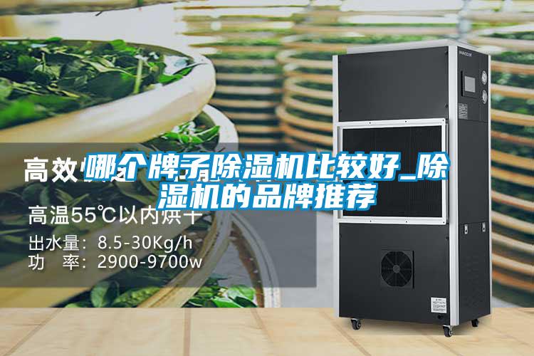 哪個牌子除濕機(jī)比較好_除濕機(jī)的品牌推薦