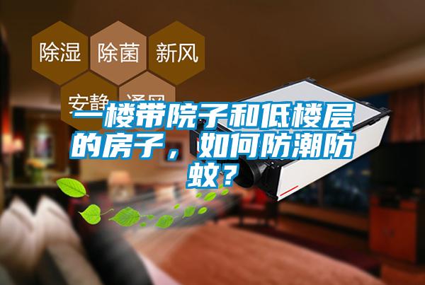 一樓帶院子和低樓層的房子，如何防潮防蚊？