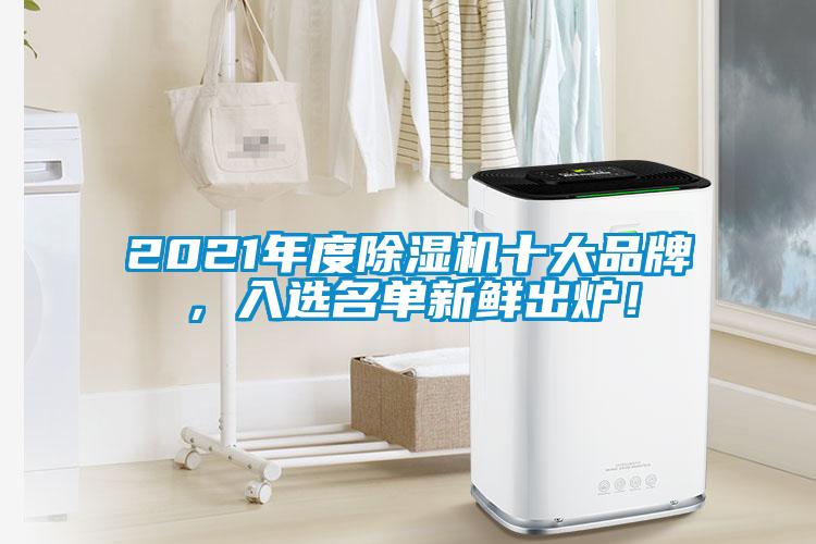 2021年度除濕機(jī)十大品牌，入選名單新鮮出爐！