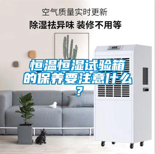 恒溫恒濕試驗箱的保養(yǎng)要注意什么？