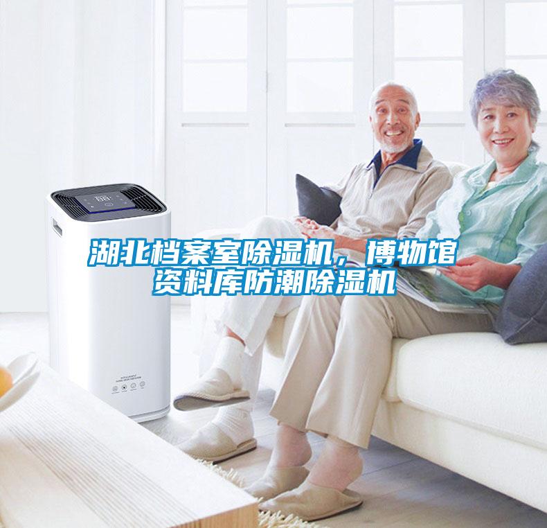 湖北檔案室除濕機，博物館資料庫防潮除濕機