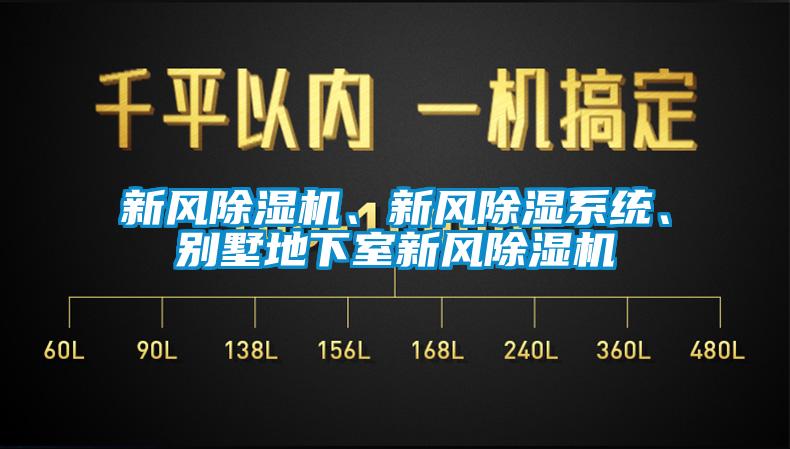 新風(fēng)除濕機(jī)、新風(fēng)除濕系統(tǒng)、別墅地下室新風(fēng)除濕機(jī)